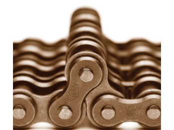 Heavy Duty Antriebskette 530 x 110 by Diamond