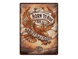 Blechschild "Born to Ride Eagle"