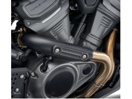 Sreamin`Eagle Exhaust Shield Insert Hitzeschild - Pan America