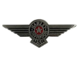Pin "USA Wings"