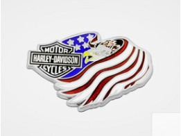 Pin "Eagle Flag H-D"
