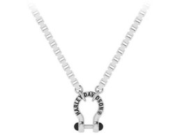 Kette "Horseshoe"