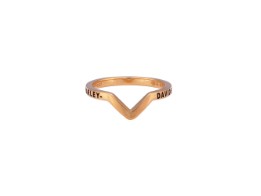 Rind "Gold Plated Curved"