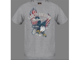 T-Shirt "Flying Patriot"