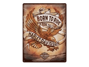 Blechschild "Born to Ride Eagle"