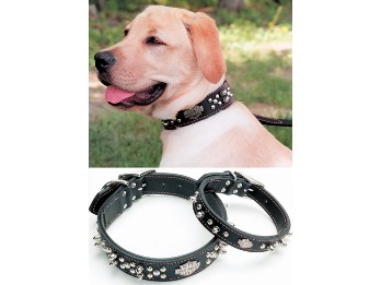 Hundehalsband Leder "Spiked Collar"