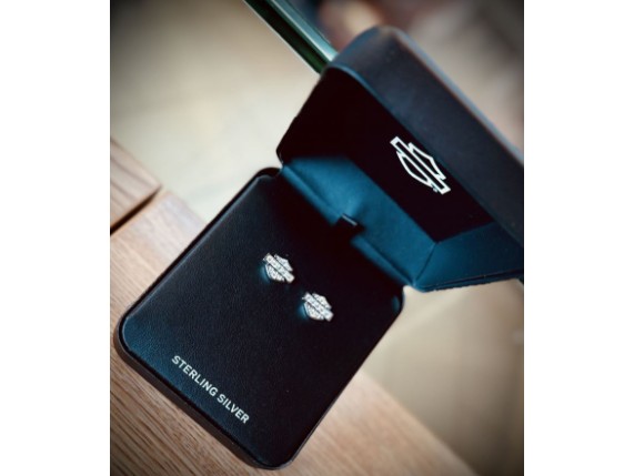 34G00049, Ohrstecker ''Boxed Bar & Shield''