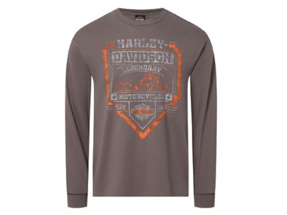 40291742, Herren Longsleeve"Strive"