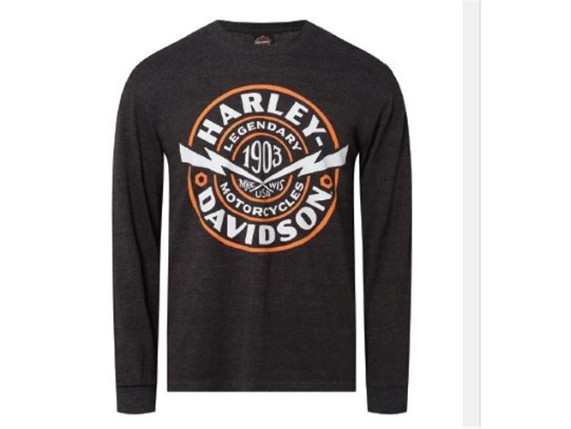 40291743, Herren Longsleeve"Sphere"