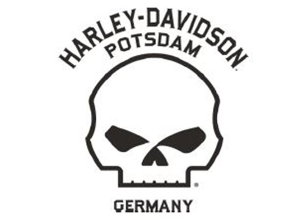 40291743, Herren Longsleeve"Sphere"