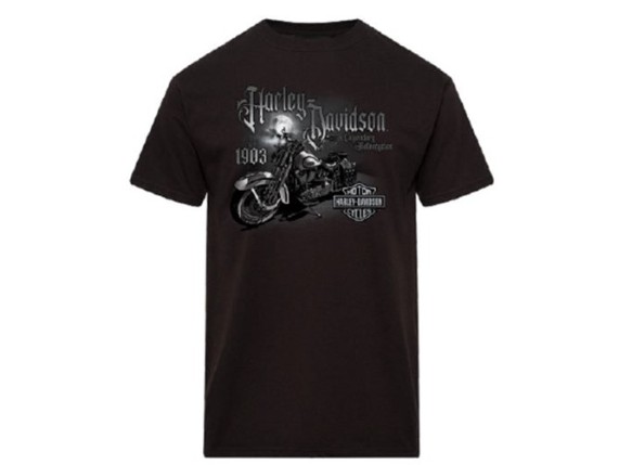 40294723, Herren Shirt "Mist"