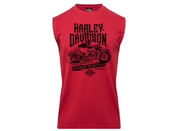 40294732, Herren Shirt "Dispatch"