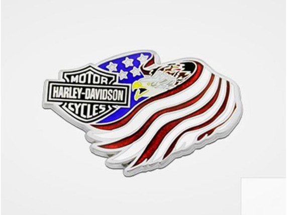 8009861, Pin "Eagle Flag"