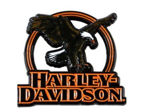 8016647, Pin "H-D Eagle Eye Cutout"