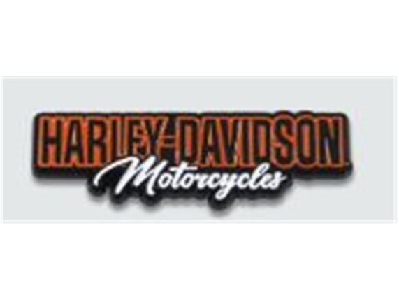 8018177, Pin "HD Motorcyles Pin"