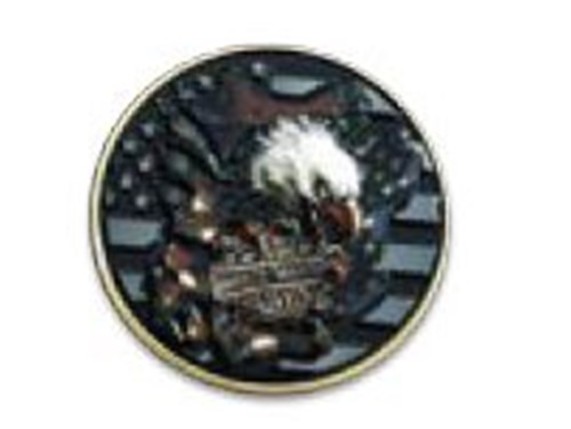 8019020, Pin "Wings & Valor"