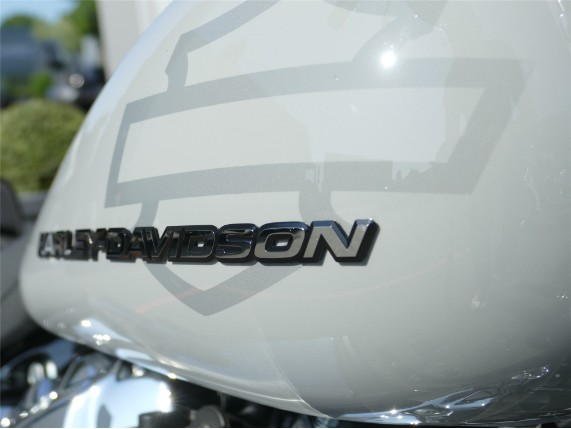 HARLEY DAVIDSON BREAKOUT 117, 0009497