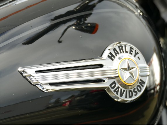 HARLEY-DAVIDSON FAT BOY 114, 5HD1YGK4XPS010790