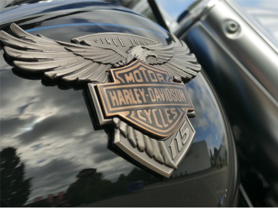 HARLEY DAVIDSON FAT BOY 114 Anniversary, 0006255