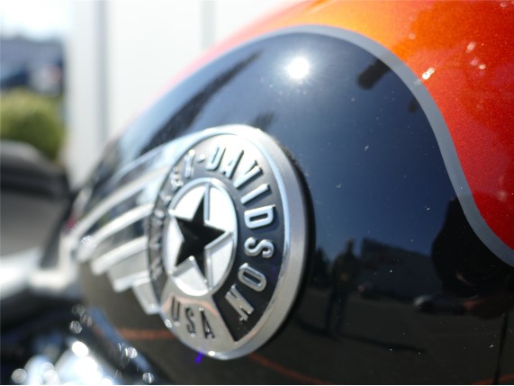 HARLEY DAVIDSON FAT BOY 117, 0009424