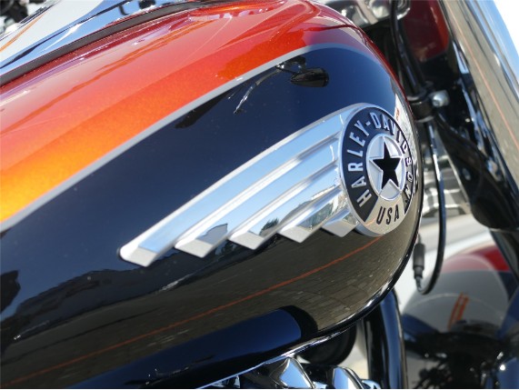 HARLEY DAVIDSON FAT BOY 117, 0009424