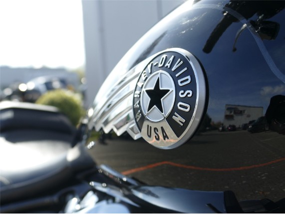 HARLEY DAVIDSON FAT BOY 117, 0009708