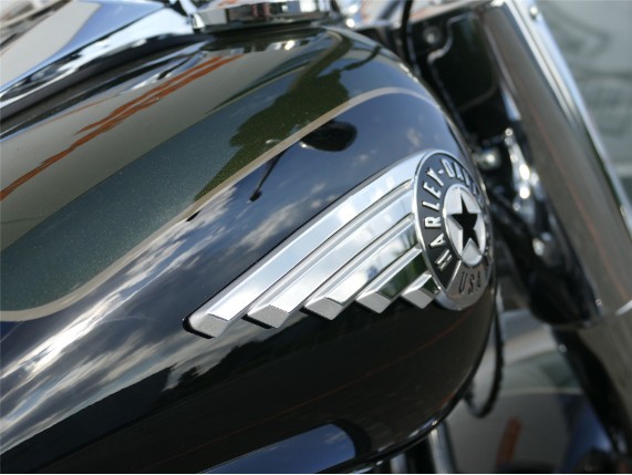HARLEY DAVIDSON FAT BOY 117, 0009967
