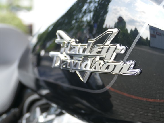 HARLEY-DAVIDSON FREEWHEELER, 0009934