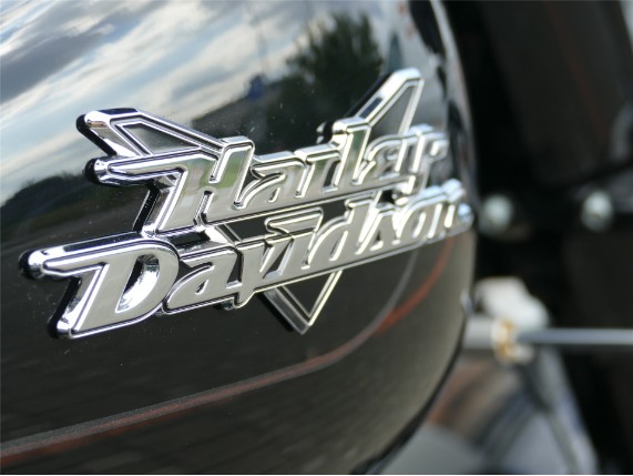 HARLEY-DAVIDSON FREEWHEELER, 0009934