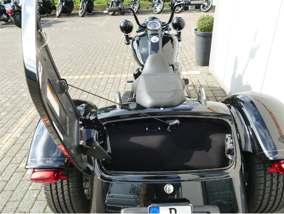 HARLEY-DAVIDSON FREEWHEELER, 0009934