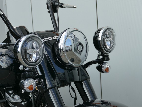 HARLEY-DAVIDSON FREEWHEELER, 0009934