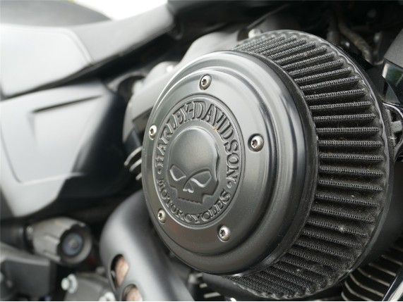 HARLEY-DAVIDSON FXDR 114, 0006737