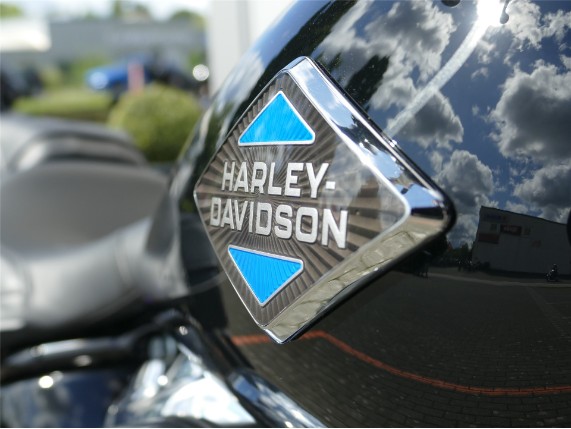 HARLEY-DAVIDSON HERITAGE CLASSIC, 0009879