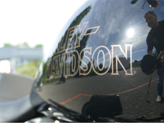 HARLEY-DAVIDSON LOW RIDER S, 0008751