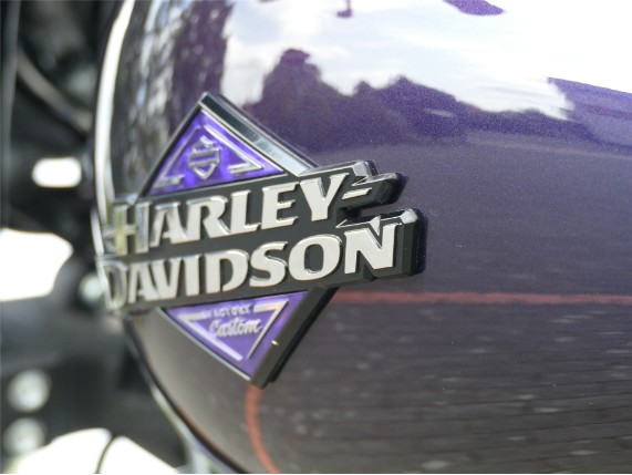 HARLEY-DAVIDSON LOW RIDER S, 0009542