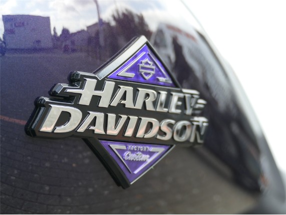 HARLEY-DAVIDSON LOW RIDER S, 0009542