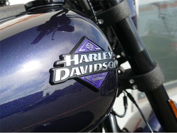 HARLEY-DAVIDSON LOW RIDER S, 0009542