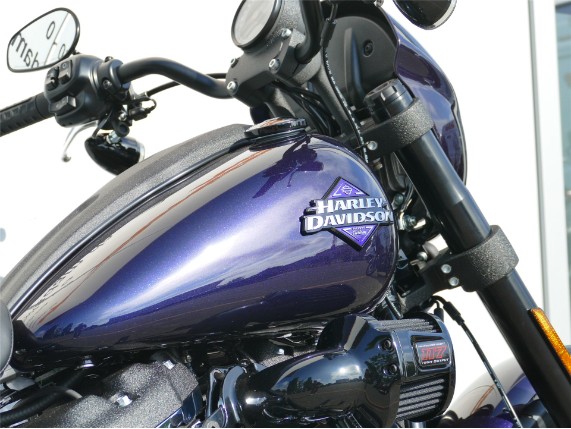 HARLEY-DAVIDSON LOW RIDER S, 0009542