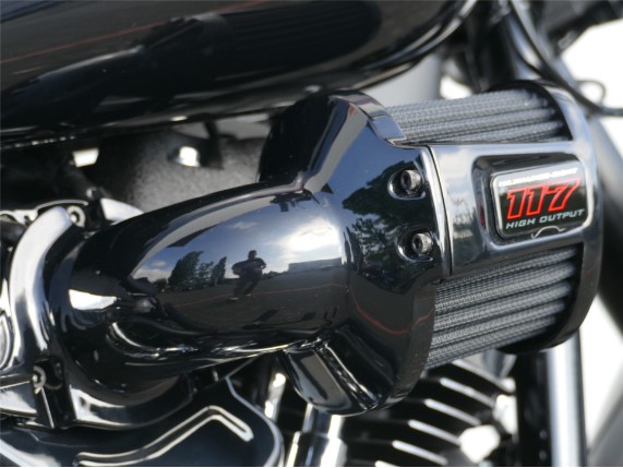HARLEY-DAVIDSON LOW RIDER S, 0009559