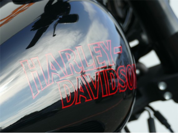 HARLEY-DAVIDSON LOW RIDER S, 0009559