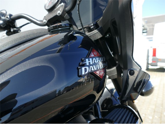 HARLEY-DAVIDSON LOW RIDER ST, 0009426