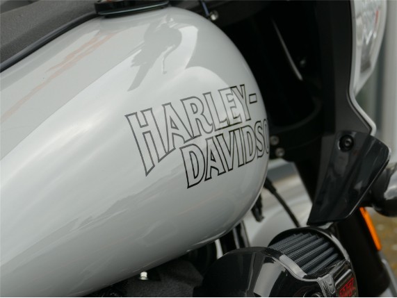 HARLEY-DAVIDSON LOW RIDER ST, 0009489