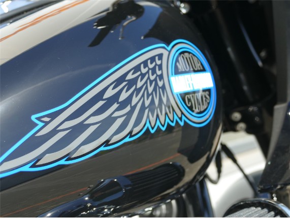 HARLEY-DAVIDSON LOW RIDER ST, 0009895