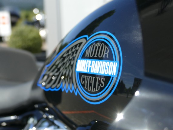HARLEY-DAVIDSON LOW RIDER ST, 0009895