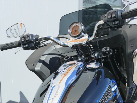HARLEY-DAVIDSON LOW RIDER ST, 0009895