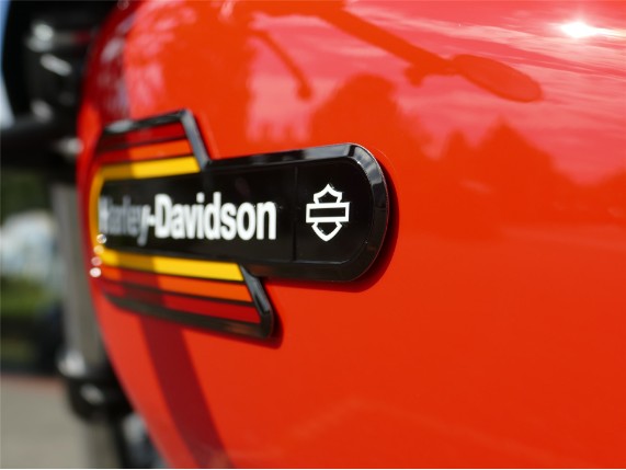 HARLEY DAVIDSON NIGHTSTER SPECIAL, 0010009