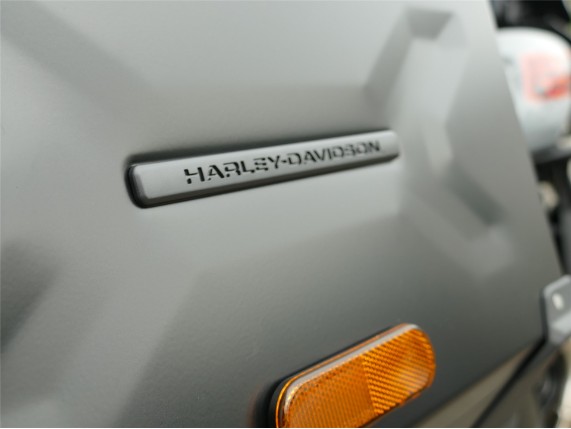 HARLEY-DAVIDSON PAN AMERIKA LIMITED, 0010026