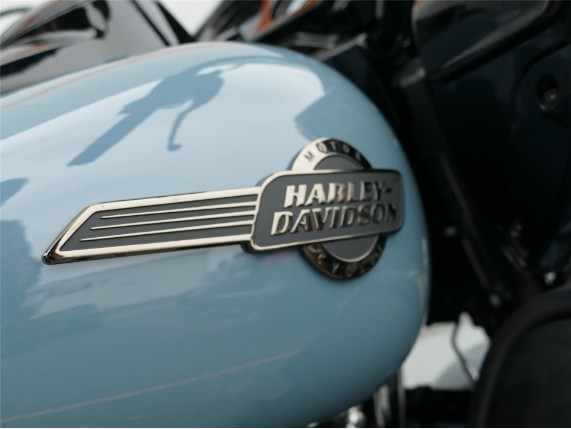 HARLEY-DAVIDSON ROAD GLIDE LIMITED, 0009388