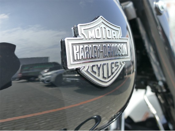 HARLEY-DAVIDSON ROAD KING SPECIAL, 0009613