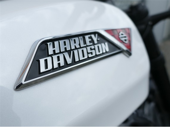 HARLEY-DAVIDSON SPORTSTER S, 0009794
